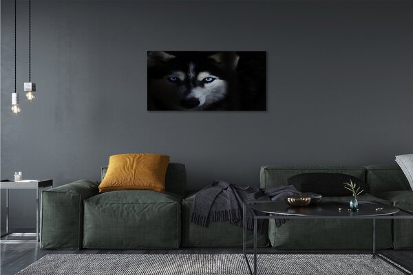 Tablouri canvas ochi de lup