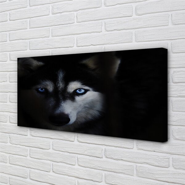 Tablouri canvas ochi de lup