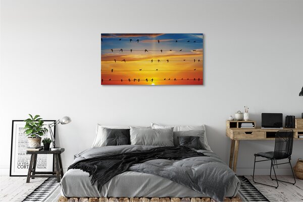 Tablouri canvas Păsări pe apus de soare frânghii