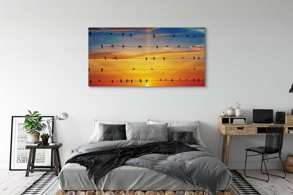 Tablouri canvas Păsări pe apus de soare frânghii
