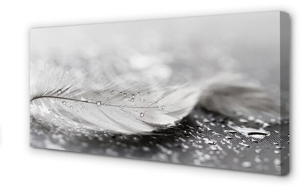Tablouri canvas Picături macro pană