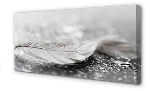 Tablouri canvas Picături macro pană