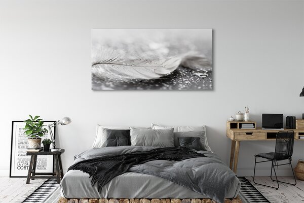 Tablouri canvas Picături macro pană