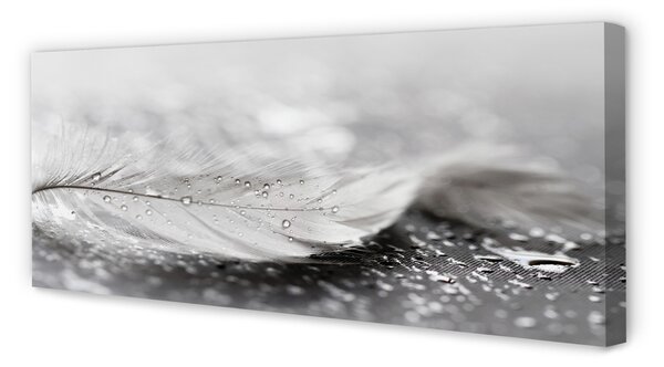 Tablouri canvas Picături macro pană