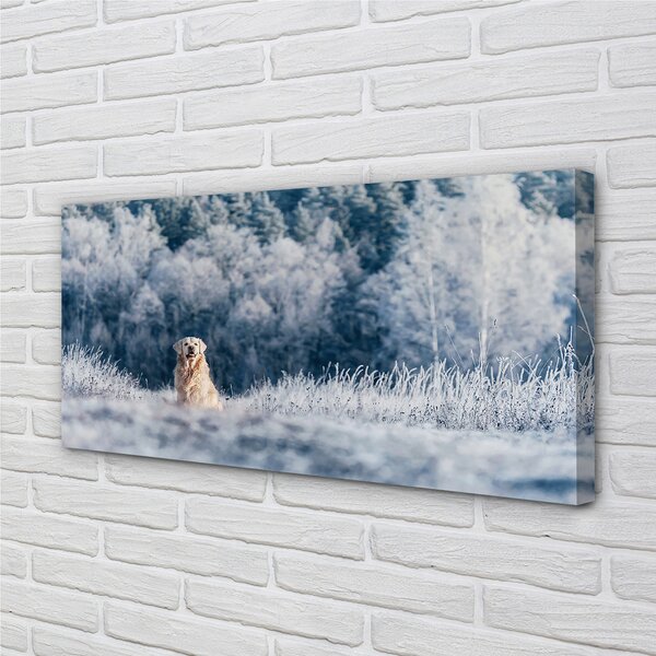 Tablouri canvas Iarna câine de munte
