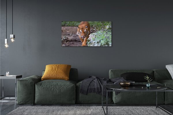 Tablouri canvas Woods tigru