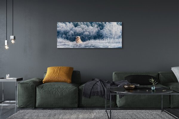 Tablouri canvas Iarna câine de munte