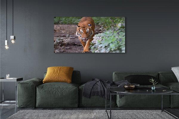 Tablouri canvas Woods tigru