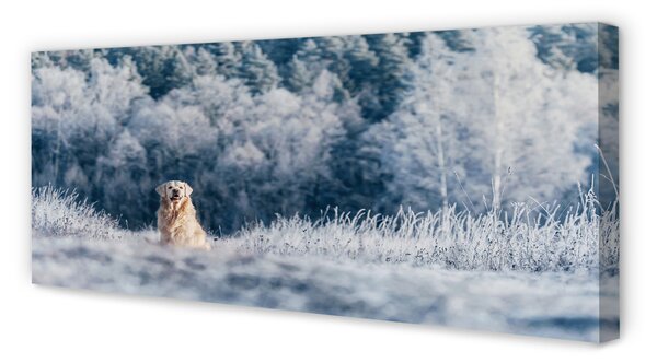 Tablouri canvas Iarna câine de munte