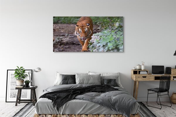 Tablouri canvas Woods tigru