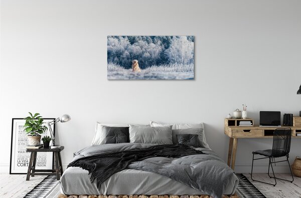 Tablouri canvas Iarna câine de munte