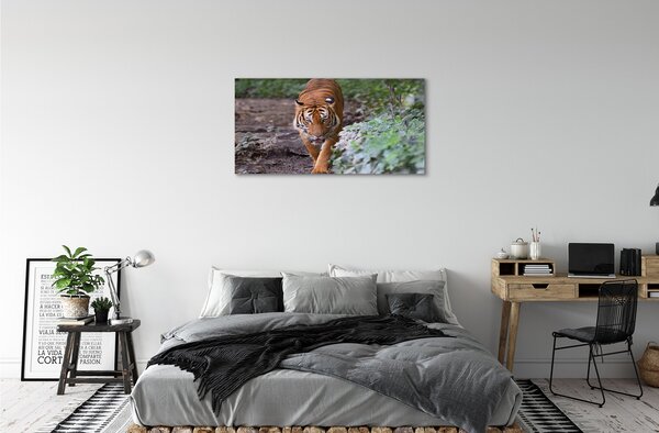 Tablouri canvas Woods tigru