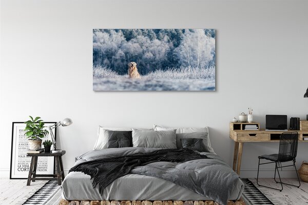 Tablouri canvas Iarna câine de munte
