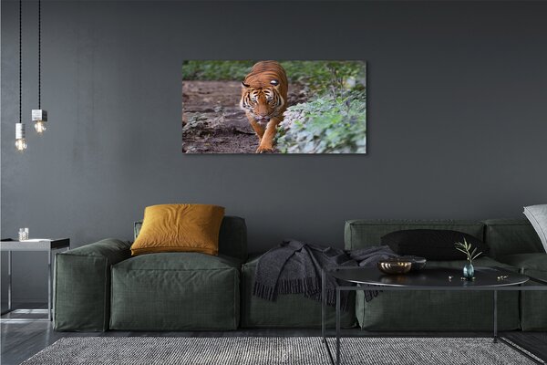 Tablouri canvas Woods tigru