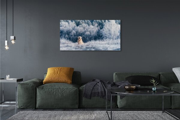 Tablouri canvas Iarna câine de munte