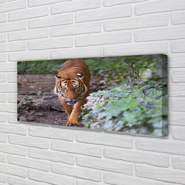 Tablouri canvas Woods tigru