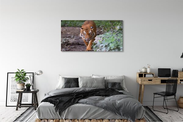 Tablouri canvas Woods tigru