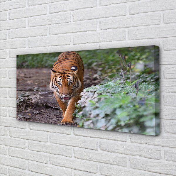 Tablouri canvas Woods tigru