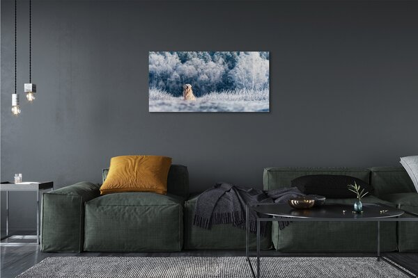 Tablouri canvas Iarna câine de munte