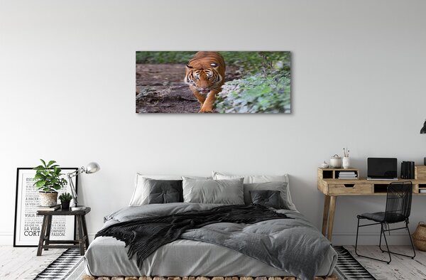 Tablouri canvas Woods tigru