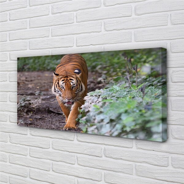 Tablouri canvas Woods tigru