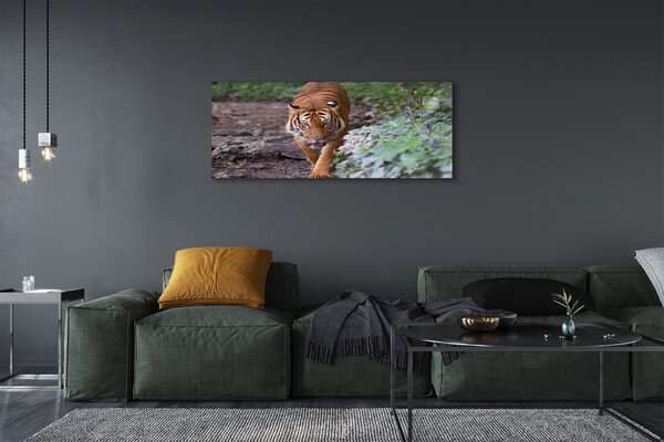 Tablouri canvas Woods tigru