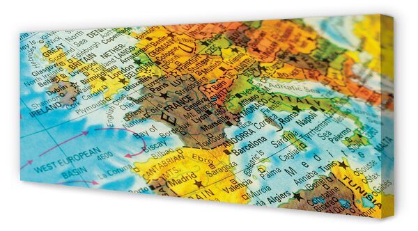 Tablouri canvas Globe hartă