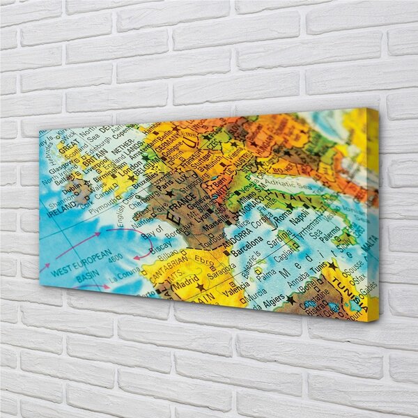Tablouri canvas Globe hartă