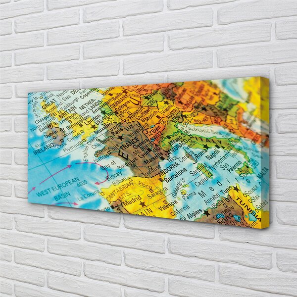Tablouri canvas Globe hartă