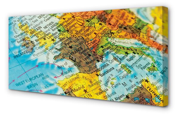 Tablouri canvas Globe hartă