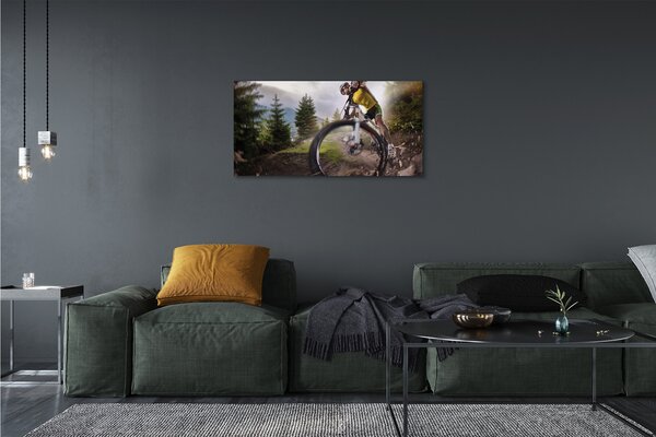 Tablouri canvas Cloud mountain bike