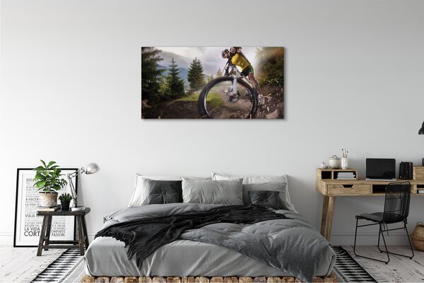 Tablouri canvas Cloud mountain bike