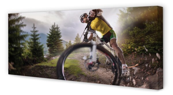 Tablouri canvas Cloud mountain bike