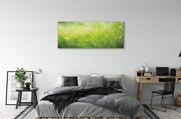 Tablouri canvas picături de rouă iarbă