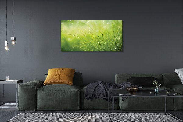 Tablouri canvas picături de rouă iarbă