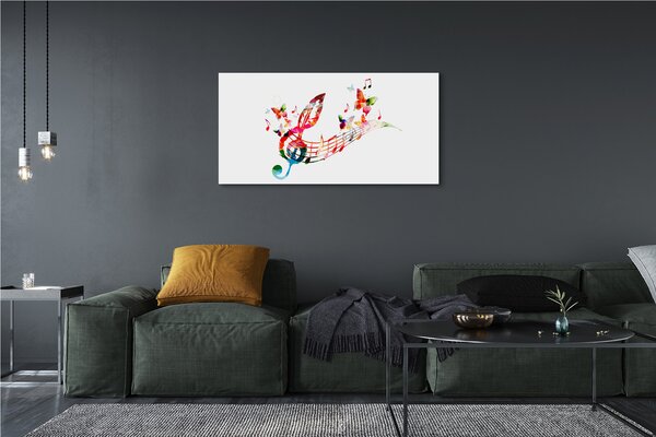 Tablouri canvas fluturi colorat note