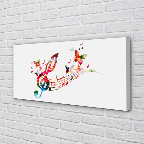 Tablouri canvas fluturi colorat note