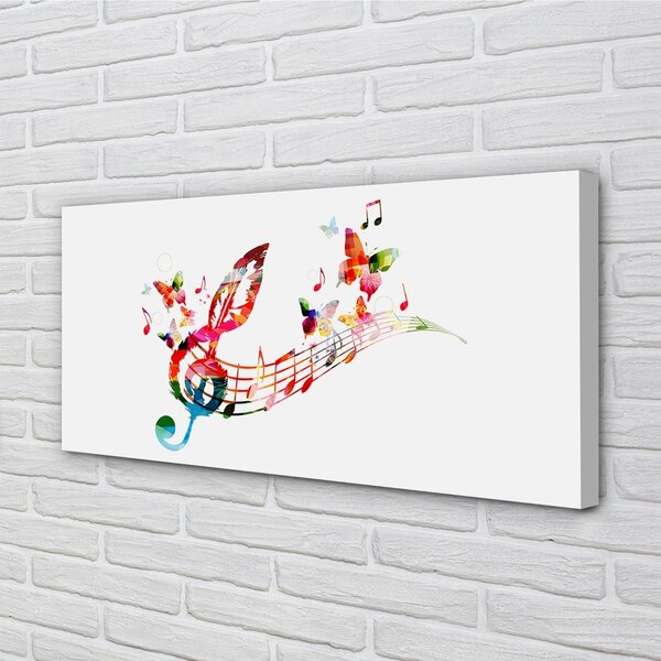 Tablouri canvas fluturi colorat note