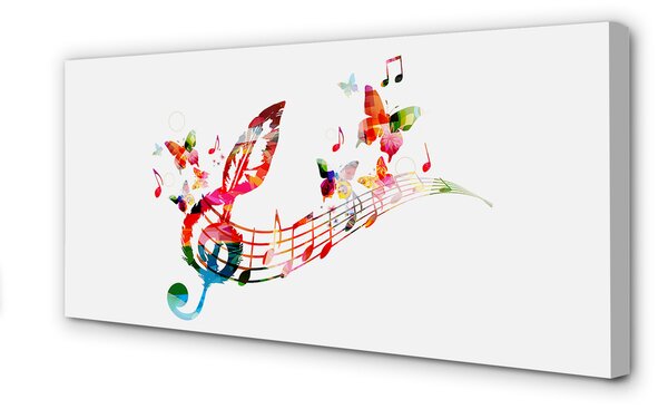Tablouri canvas fluturi colorat note