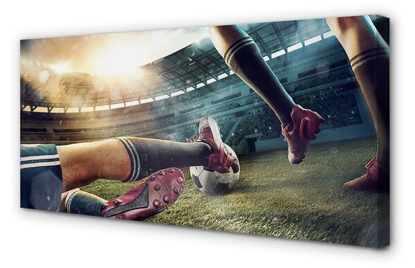 Tablouri canvas Pluta stadion de fotbal