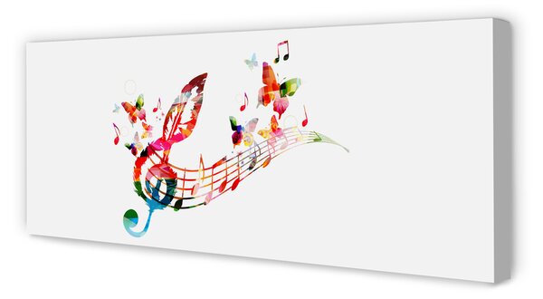 Tablouri canvas fluturi colorat note