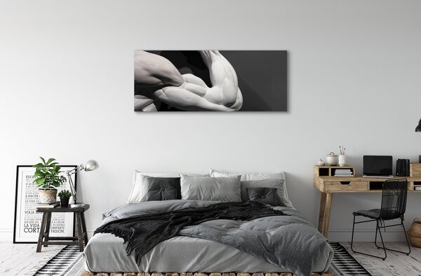 Tablouri canvas Mușchi alb-negru