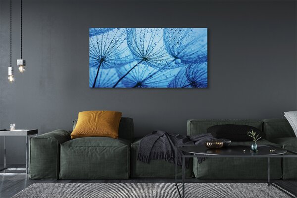 Tablouri canvas Picături păpădia macro