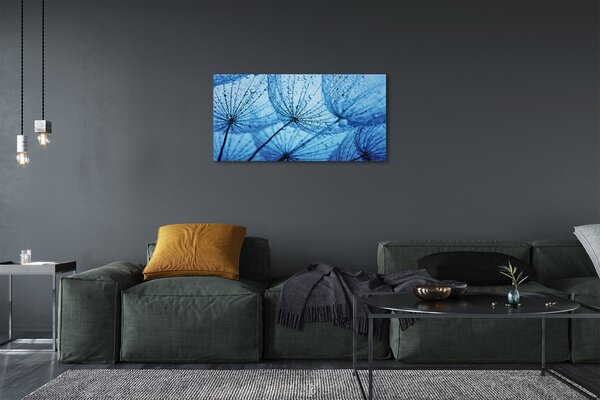 Tablouri canvas Picături păpădia macro