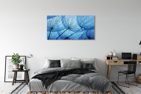 Tablouri canvas Picături păpădia macro