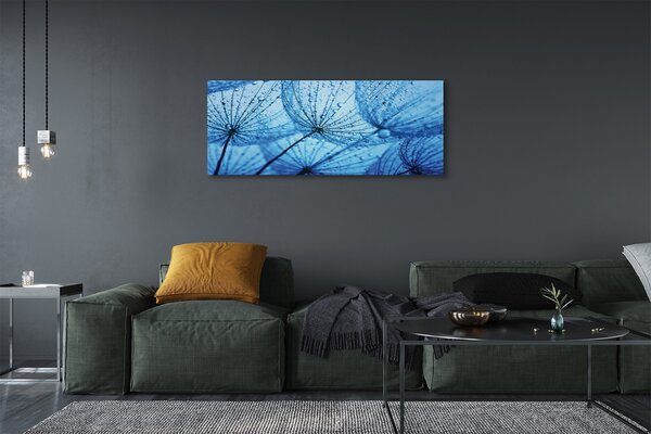 Tablouri canvas Picături păpădia macro