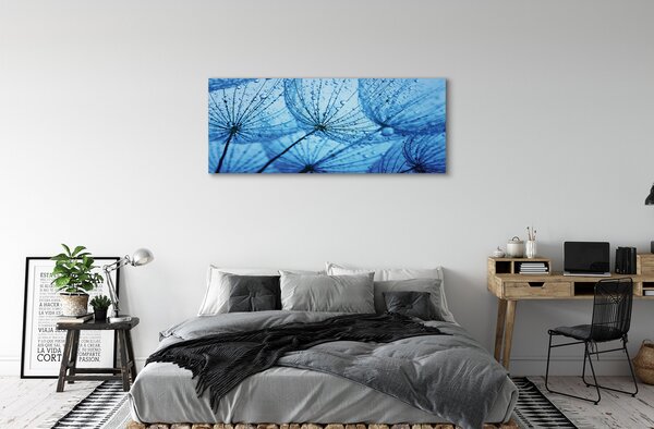 Tablouri canvas Picături păpădia macro