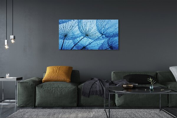 Tablouri canvas Picături păpădia macro