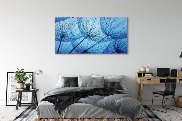 Tablouri canvas Picături păpădia macro