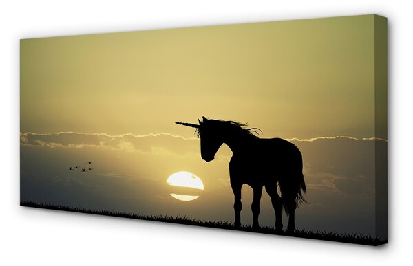 Tablouri canvas Câmp apus de soare unicorn
